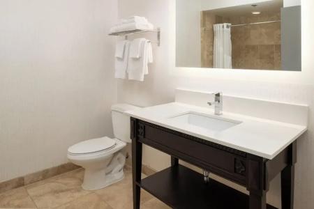 Holiday Inn - Portland - Columbia Riverfront, an IHG - 102