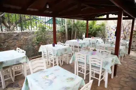 Ebruli - 15