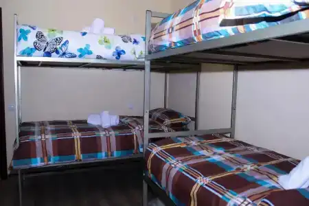 Bee Lucky Hostel and Tours - 16