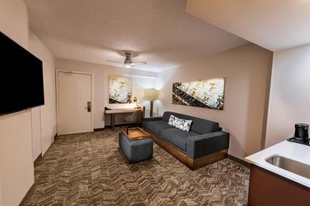 Springhill Suites Houston Medical Center / Nrg Park - 16