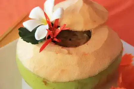 Tropical Breeze - 35