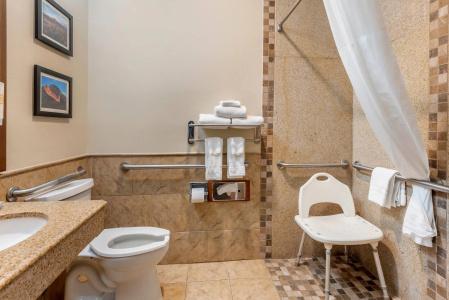 Comfort Inn & Suites - 61