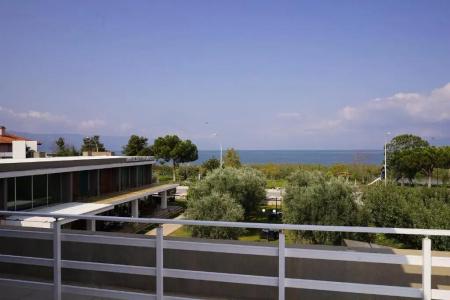 Zeytin Bahcesi - 37