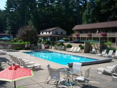 Tall Pines - 9