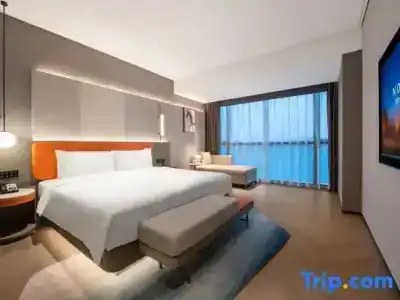 Novotel Xi'An Scpg - 80