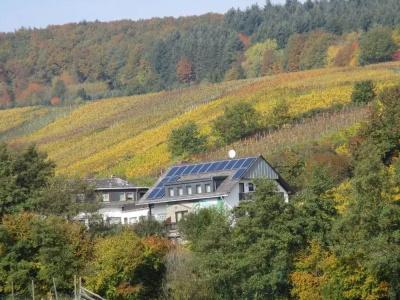 Pension Kühns Mühle - 8