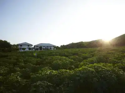 Santosha Health Lifestyle - 29