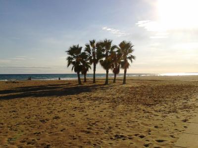 Camping Vendrell Platja - 11