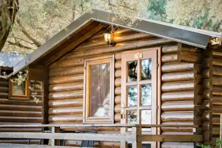 Holiday Park Olive Tree - 20