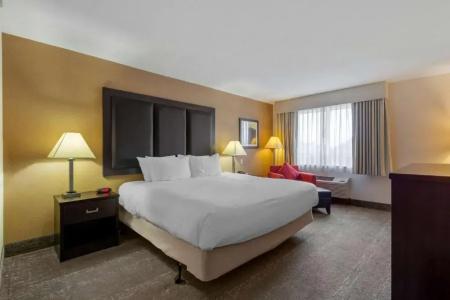 Best Western Plus Inn & Suites - 65
