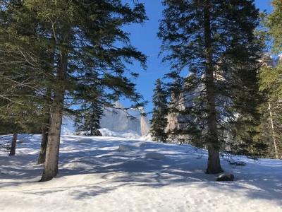 Alpine Touring-petfriendly - 26