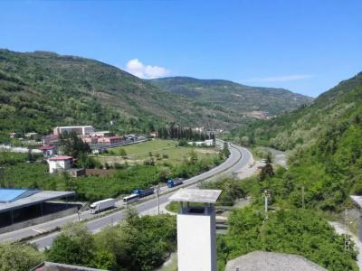 Medd Garden (Kesos) - 23