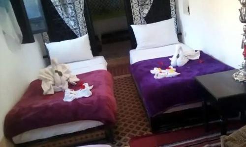 Riad Djebel - 6