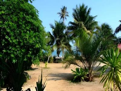 Chill Beach - 11