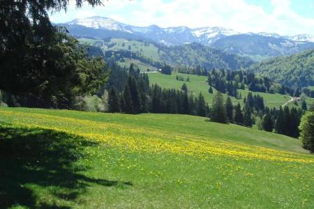 Kur- und AktivAllgäuer Hof - 41