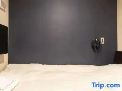 Oyo Smart Sleeps - 67