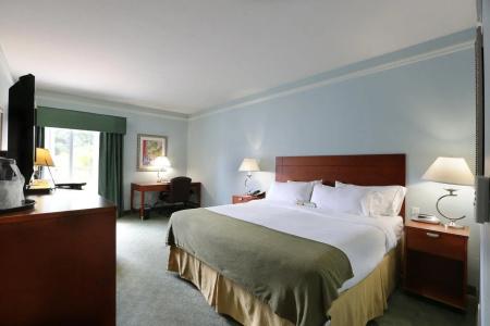 Holiday Inn Express North Telecom Park, An Ihg - 54