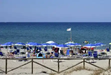 Fior di Sardegna - 18
