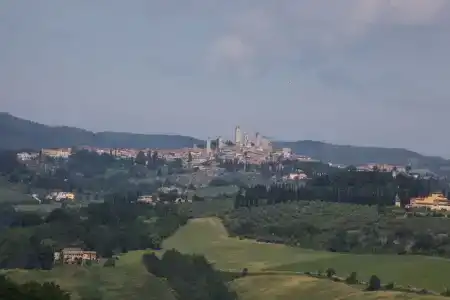 Podere Il Pino - 65