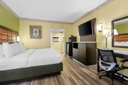 Quality Inn Airport - Cruise Port - 55