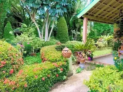 Ekman Garden - 76