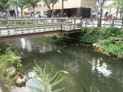 Sapporo Oriental - 21