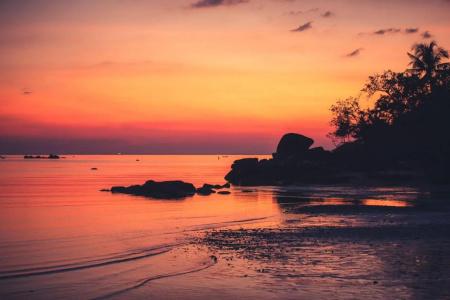 Anantara Layan Phuket - 43