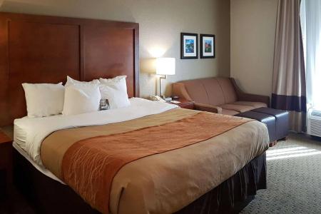 Comfort Inn I-10 West at 51st Ave - 6