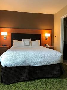 TownePlace Suites by Marriott South/Hamburg Place - 58