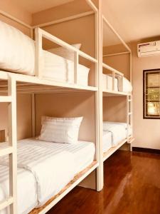 Insight Hostel - 14