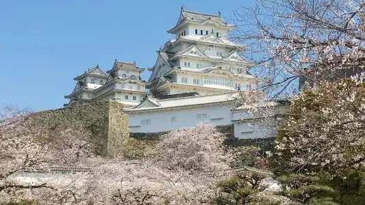 Shironoshita Guesthouse - 11