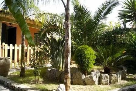 Park Oasi - 81