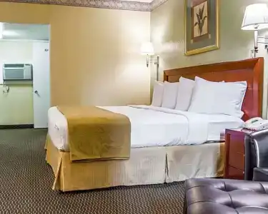 Quality Inn Airport - Cruise Port - 48