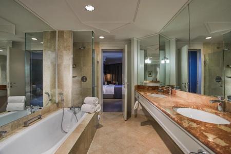 Hyatt Regency Belgrade - 8