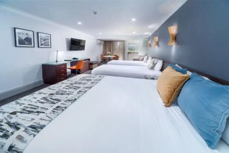 Hyde Park Inn - 88