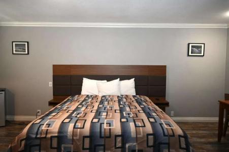 Hollywood Stars Inn - 21