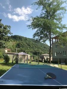 Royal Palace, Lagodekhi - 11