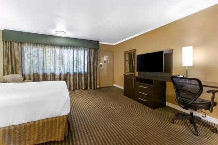 Best Western Royal Sun Inn & Suites - 94