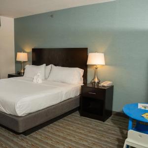 Holiday Inn Express & Suites-Summit Township, an IHG - 24
