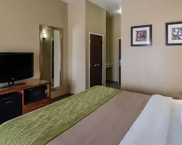 Comfort Inn South I-20 - 5