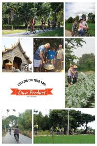 Trekker Camp - 24