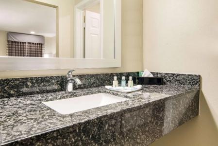 Quality Inn & Suites Dallas-Cityplace - 38