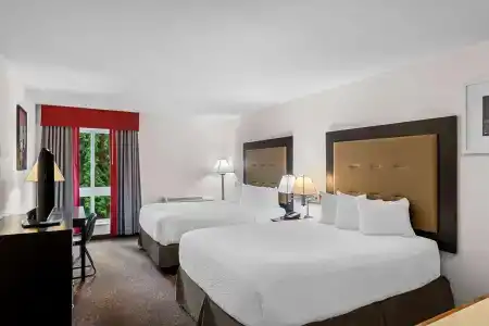 Ramada by Wyndham SeaTac Airport - 5