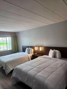 Royal Inn - 53