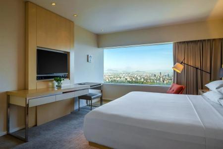 Hyatt Regency Mexico City - 33