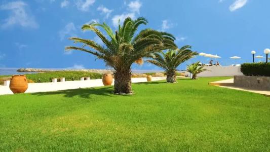Nanakis Beach Luxury Apartments - 58