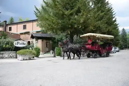 Albergo Il Picchio - 38