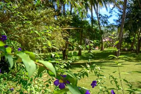 Eva Lanka - Beach & Wellness - 52