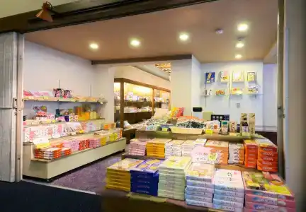 Wakayama Kada Onsen Kada Kaigetsu (ex. Azumaya Seaside) - 10