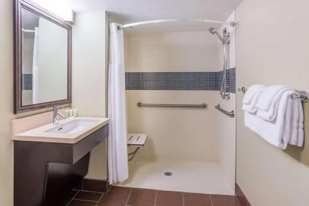 Sonesta ES Suites Atlanta Perimeter Center - 29